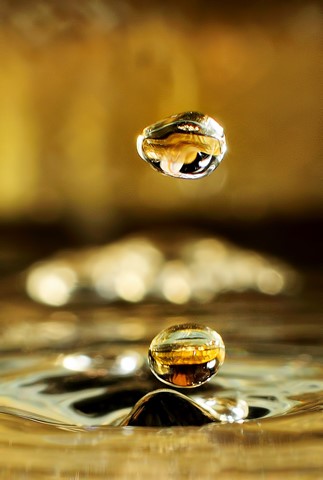 Photo by Osvaldo Cristo