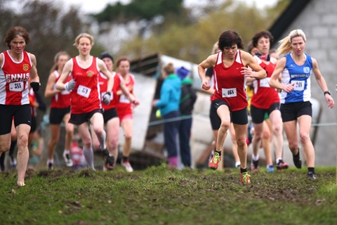 Photo by Gearóid Ó Laoi, Garry Lee