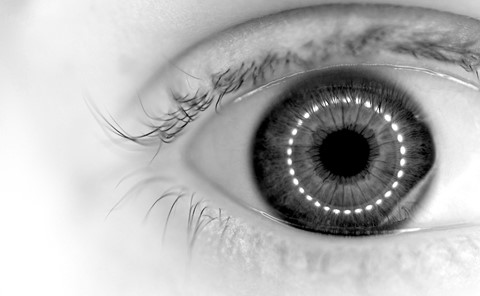 Photo by Mike Melnotte