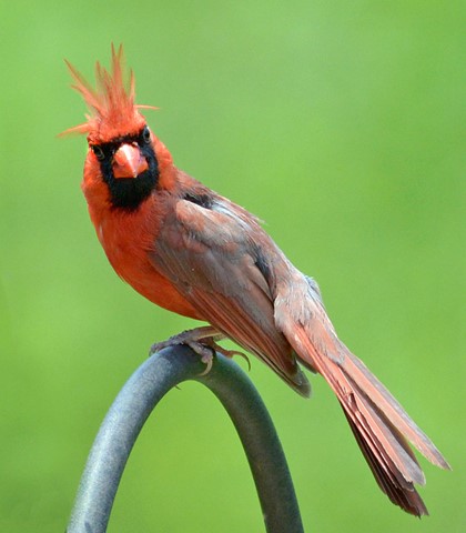 Photo by Bad Hair Day!