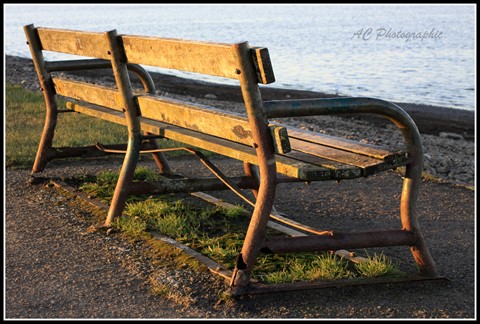 Photo by AC Photographic