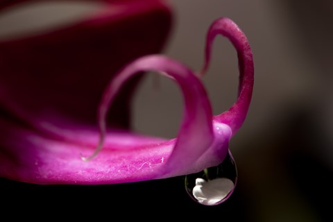 Photo by ursuloumiou