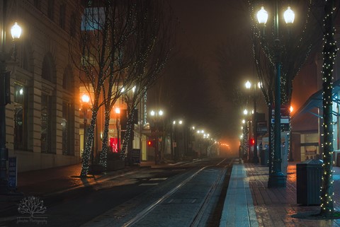 Photo by RomanJohnston