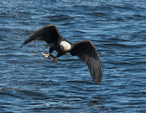 Photo by agspecialties