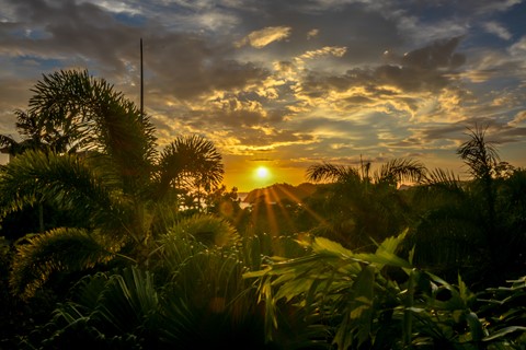 Photo by Samara Sunset