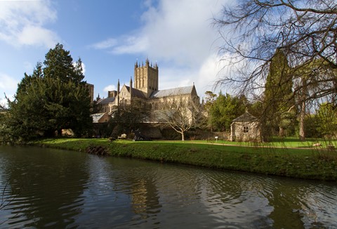 Photo by AndyMulhearn