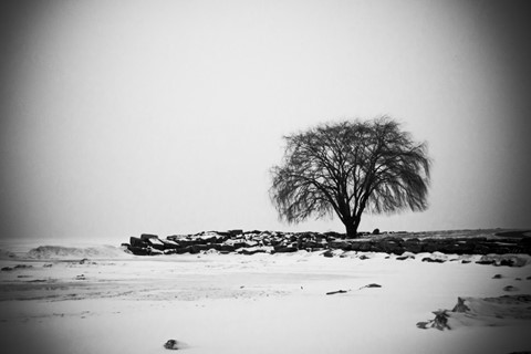 Photo by Calypso Pictures