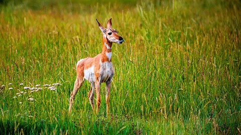 Photo by IntriguePhotography