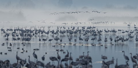 Photo by zeev kirshenboim