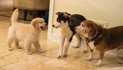 Photo by johncecilian