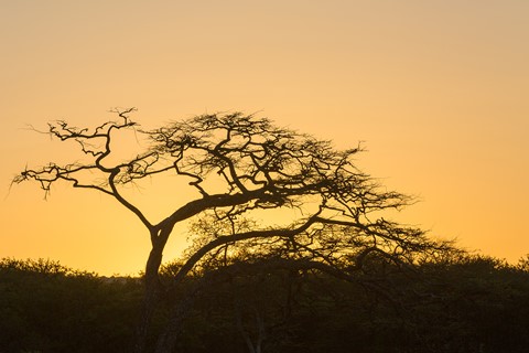 Photo by Jack Preston