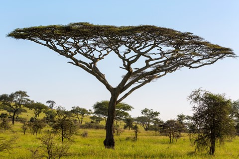 Photo by Jack Preston