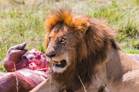 Photo by Jack Preston