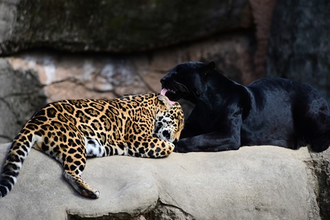 Photo by Springtime Bath