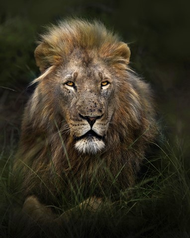 Photo by George Veltchev