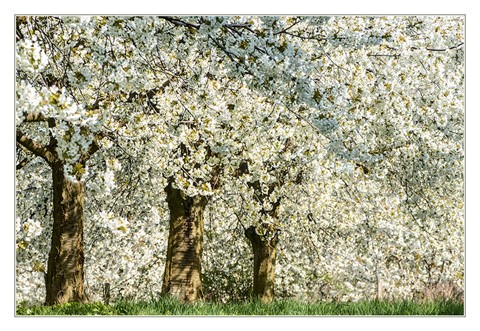 Photo by All Exclusive