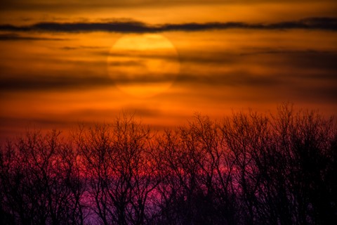 Photo by agspecialties