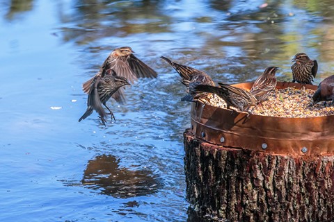 Photo by tim and jan