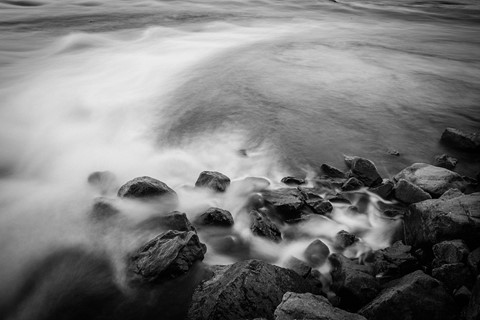 Photo by Miguel Teotonio