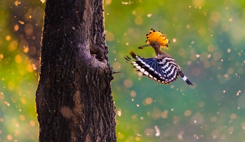 Photo by Georges2020