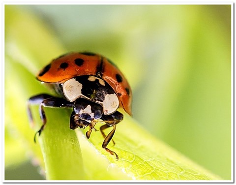 Photo by Relu Stanciu