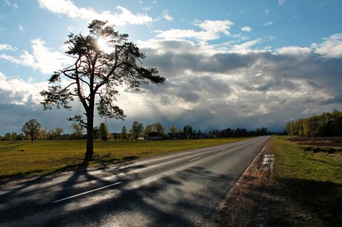 Photo by Paul Lazanov