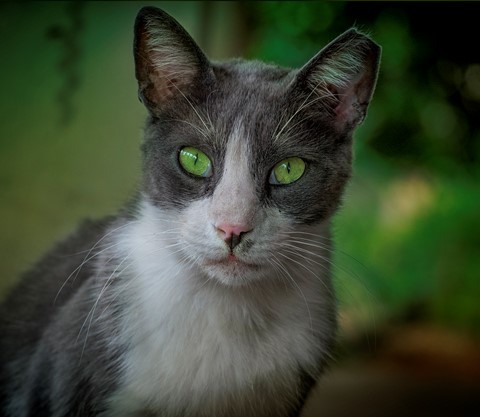 Photo by Michal Herrmann