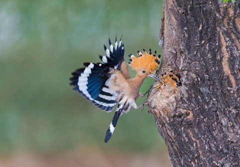 Photo by Georges2020