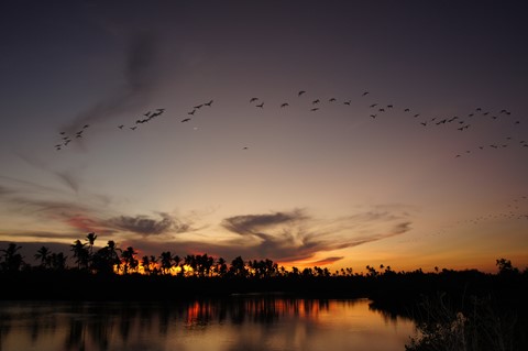 Photo by hondav21098