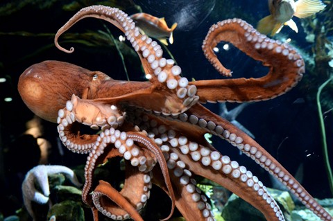 Photo by NikonJunkieGirl