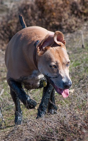 Photo by curiousmike1300