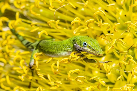 Photo by jose garcia