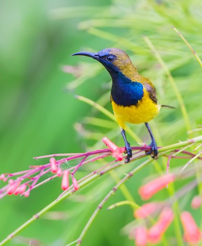 Photo by My backyard