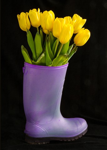 Photo by ColleenCaughtIt