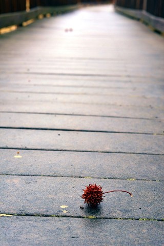 Photo by Photo Geezer