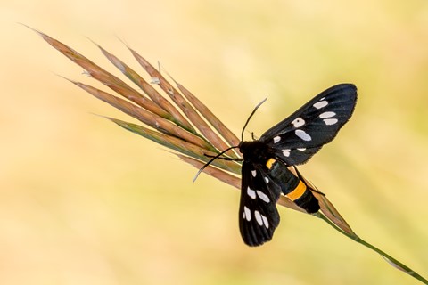 Photo by andreasbinder