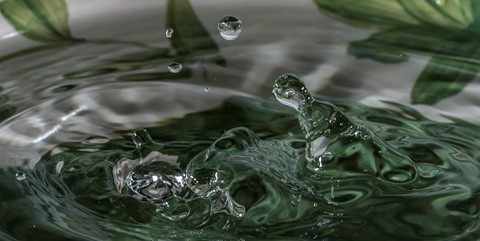 Photo by Ontario Gone