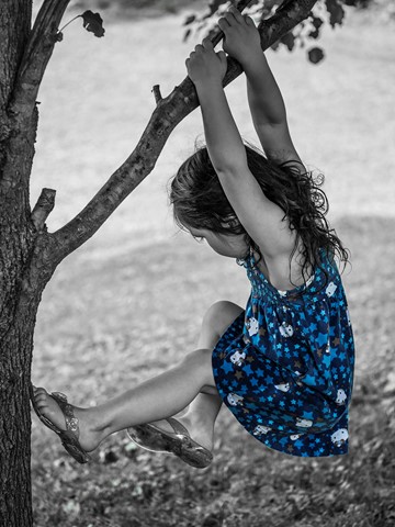 Photo by Ontario Gone