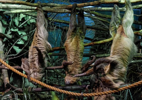 Photo by manishtushu