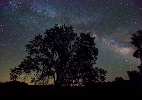 Photo by Jonathan Shapiro