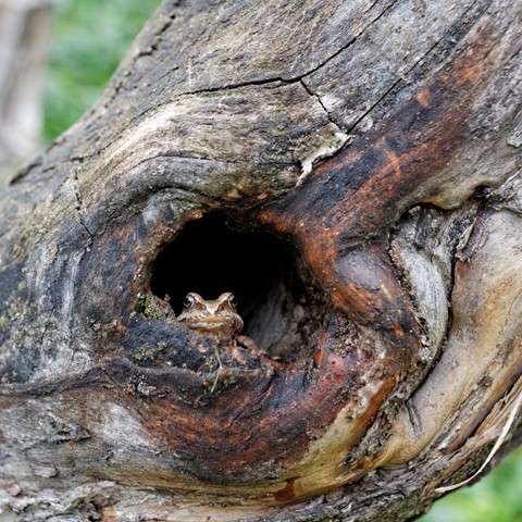 Photo by manishtushu