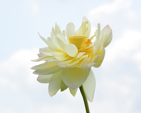 Photo by Photo Geezer