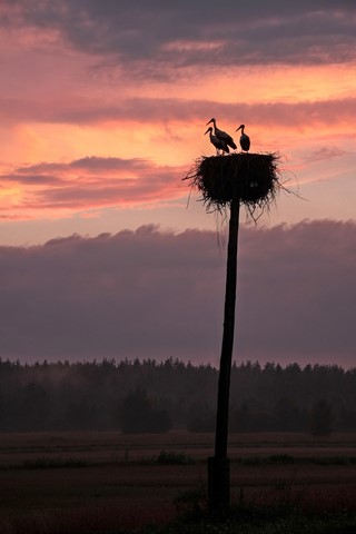 Photo by Paul Lazanov