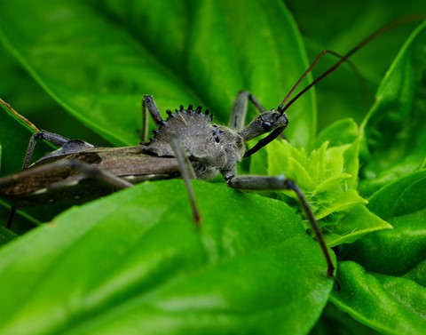 Photo by lizsalander