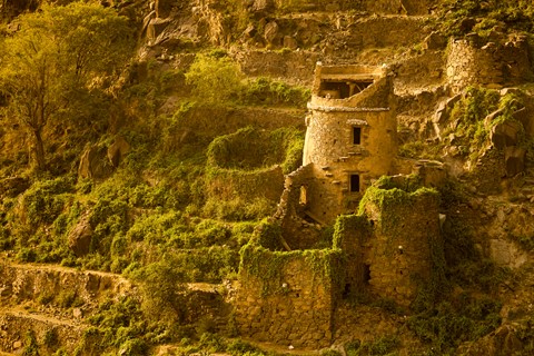 Photo by Mohammed Al Ali