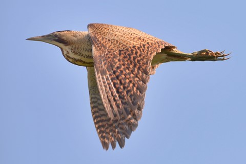 Photo by Martyn McMad