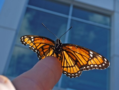 Photo by ThanksForMemories