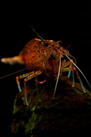 Photo by Hokkaido Jan