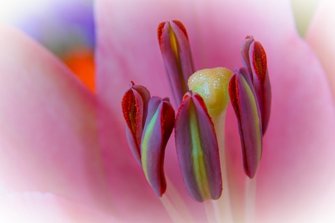 Photo by CW Anderson