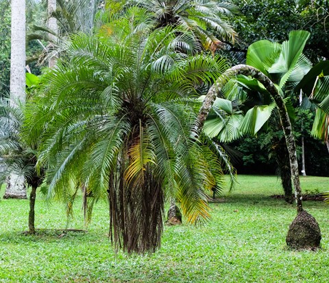 Photo by Didier Quan